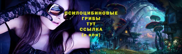 apvp Михайловск