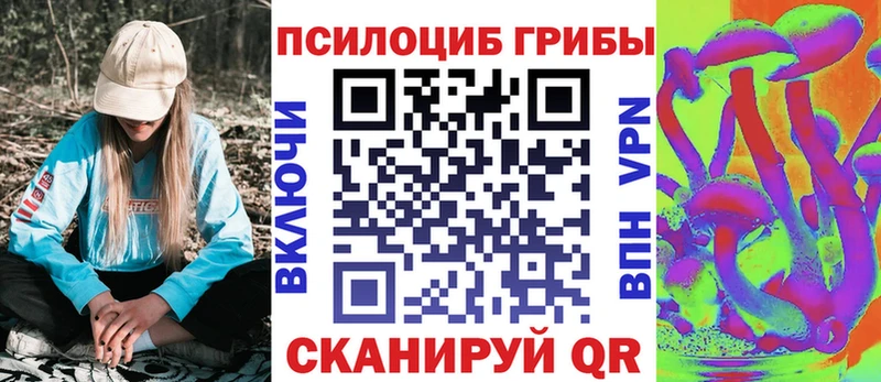 купить наркотик  blacksprut tor  Псилоцибиновые грибы мухоморы  Жердевка 